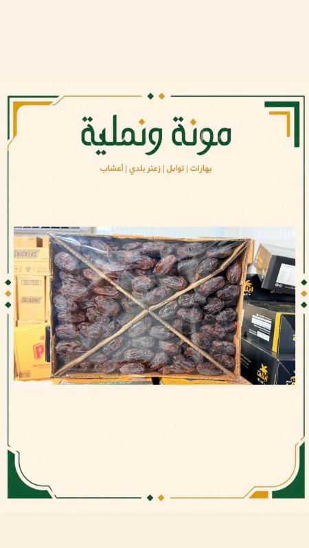 تمور ايلاف مدجول