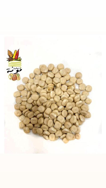 ترمس 